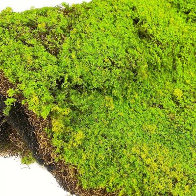 Искусственный мох в рулоне. Дизайн MPA062 YELLOW